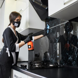 Kitchen Appliance Cleaning