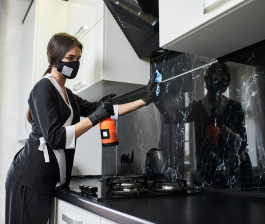 Kitchen Appliance Cleaning